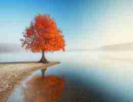 html用﻿的‍软‍件‌